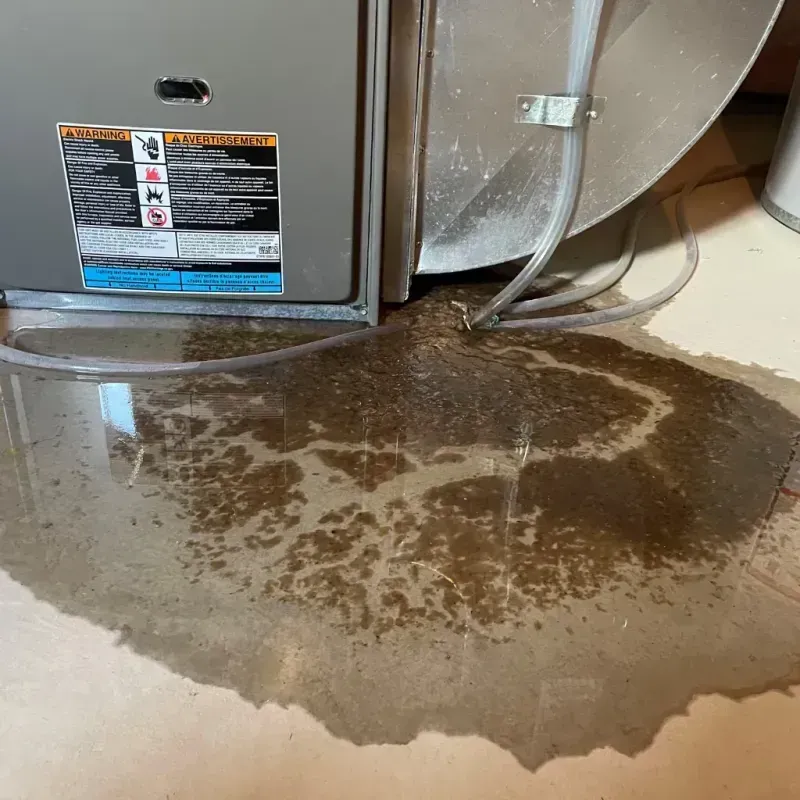 Appliance Leak Cleanup in Cochran County, TX